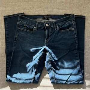 Banana Republic Blue Straight Leg Jeans size 25